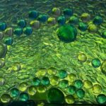 green-bubbles